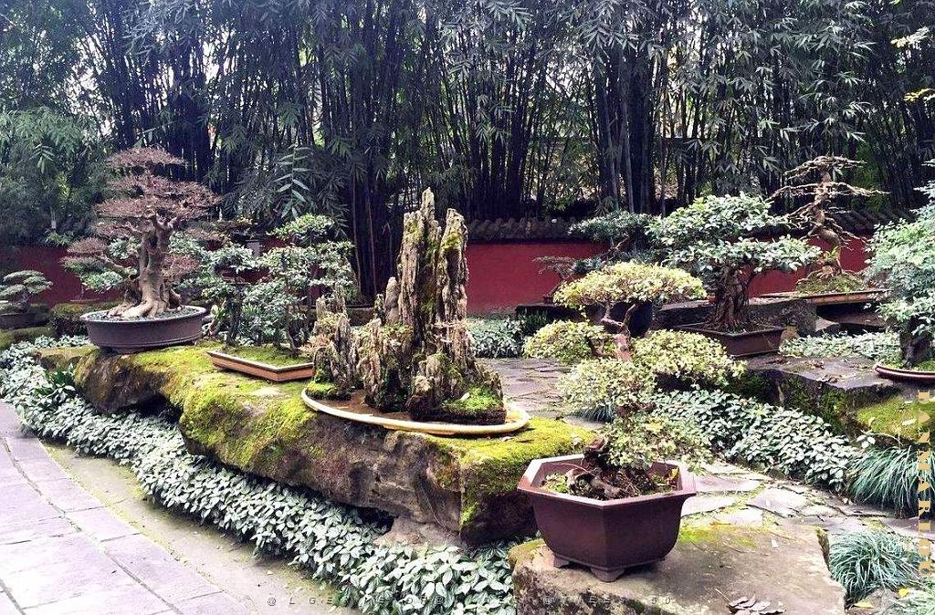 Chendgu 013.JPG